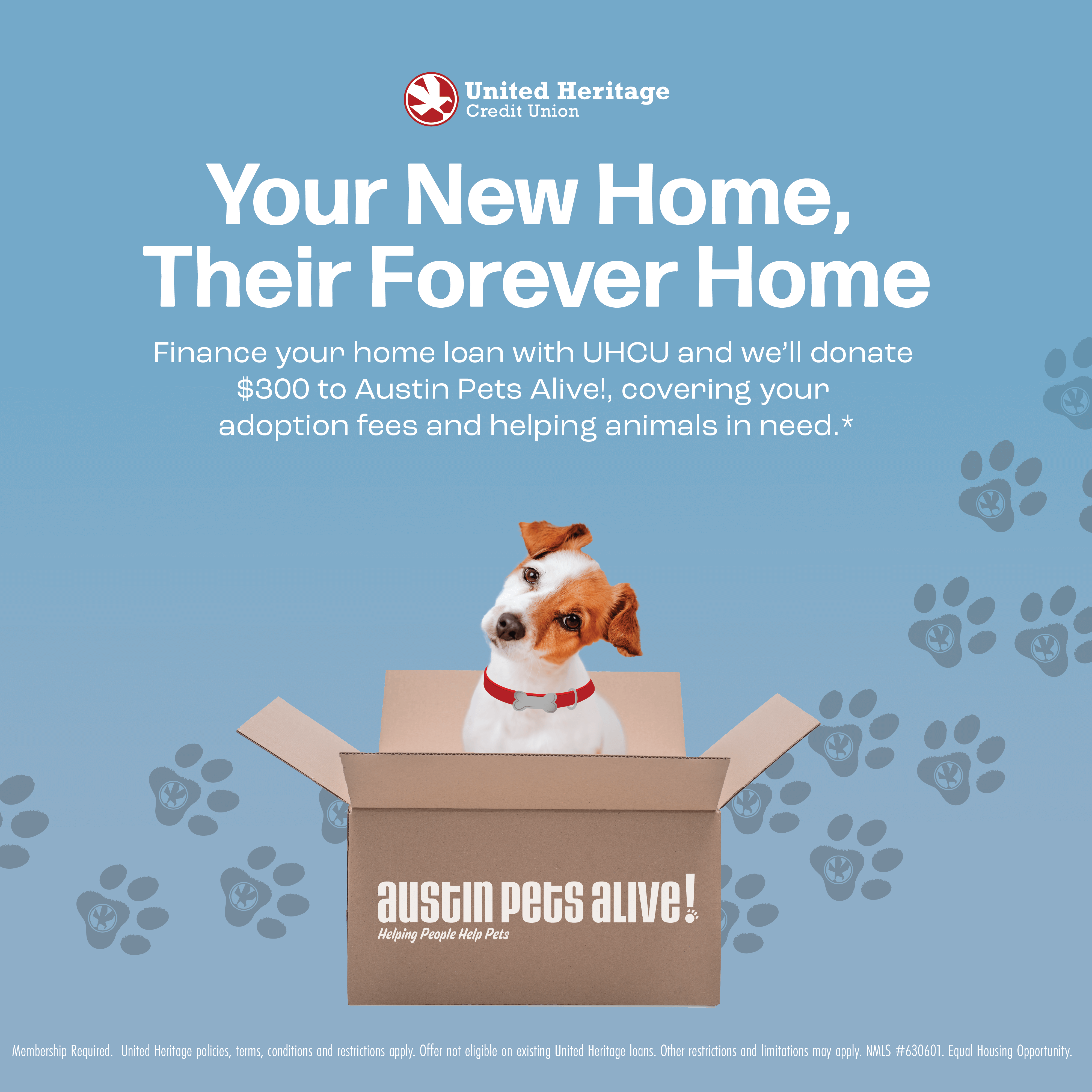 YOUR NEW HOME, THEIR FOREVER HOME